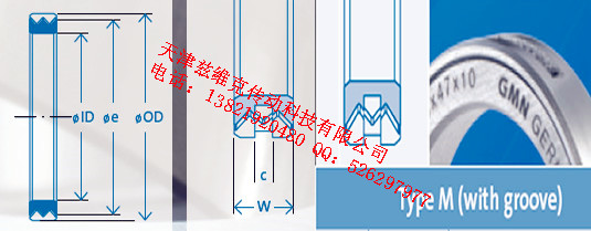 GMNM30X42X10油封圖紙